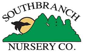 SouthBranch Nursery